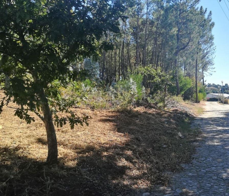 Terreno Urbano  Venda em Seixas,Caminha