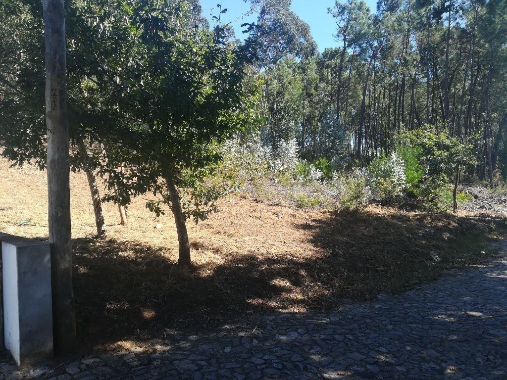 Terreno Urbano  Venda em Seixas,Caminha