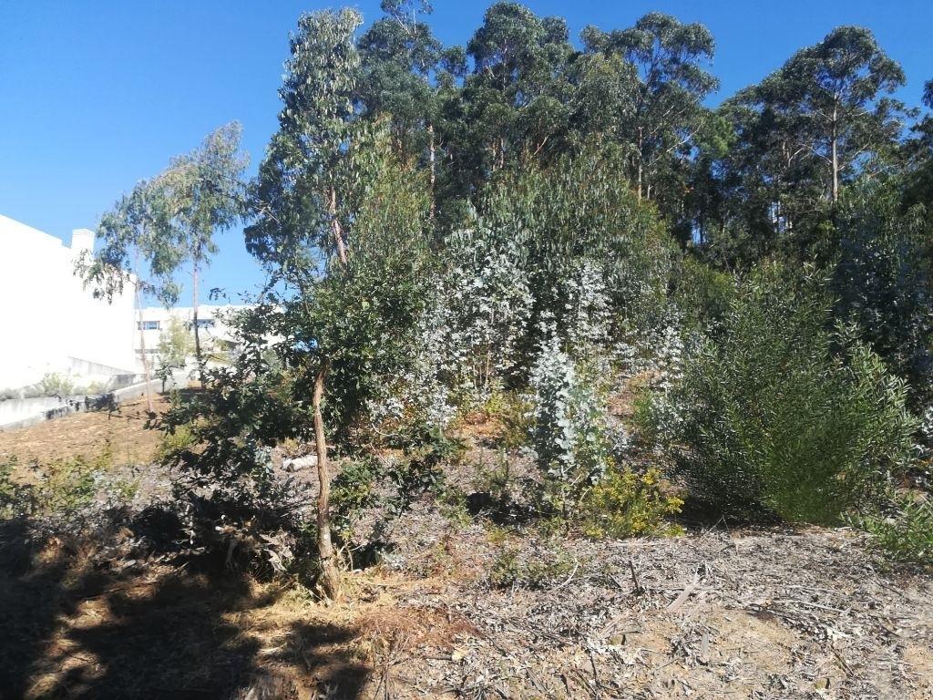 Terreno Urbano  Venda em Seixas,Caminha