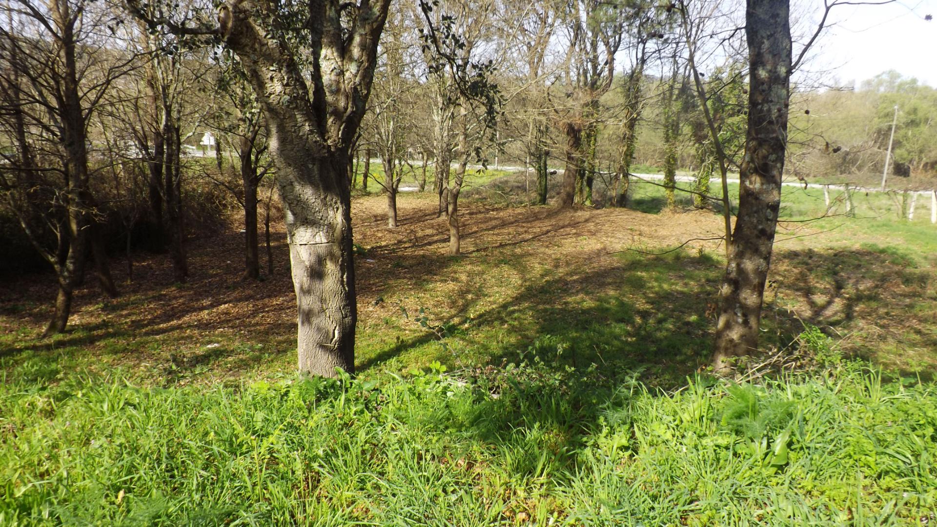 Terreno Rústico  Venda em Argela,Caminha