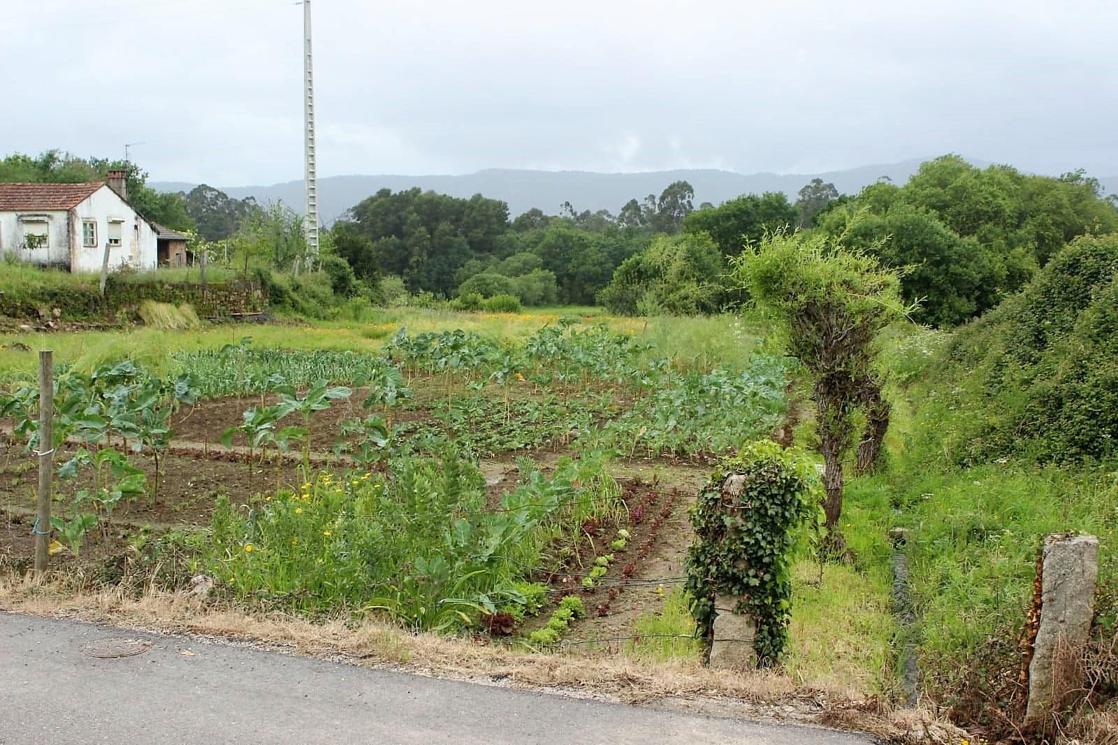 Lote de Terreno  Venda em Reboreda e Nogueira,Vila Nova de Cerveira