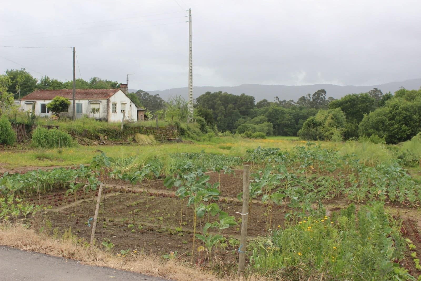 Lote de Terreno  Venda em Reboreda e Nogueira,Vila Nova de Cerveira