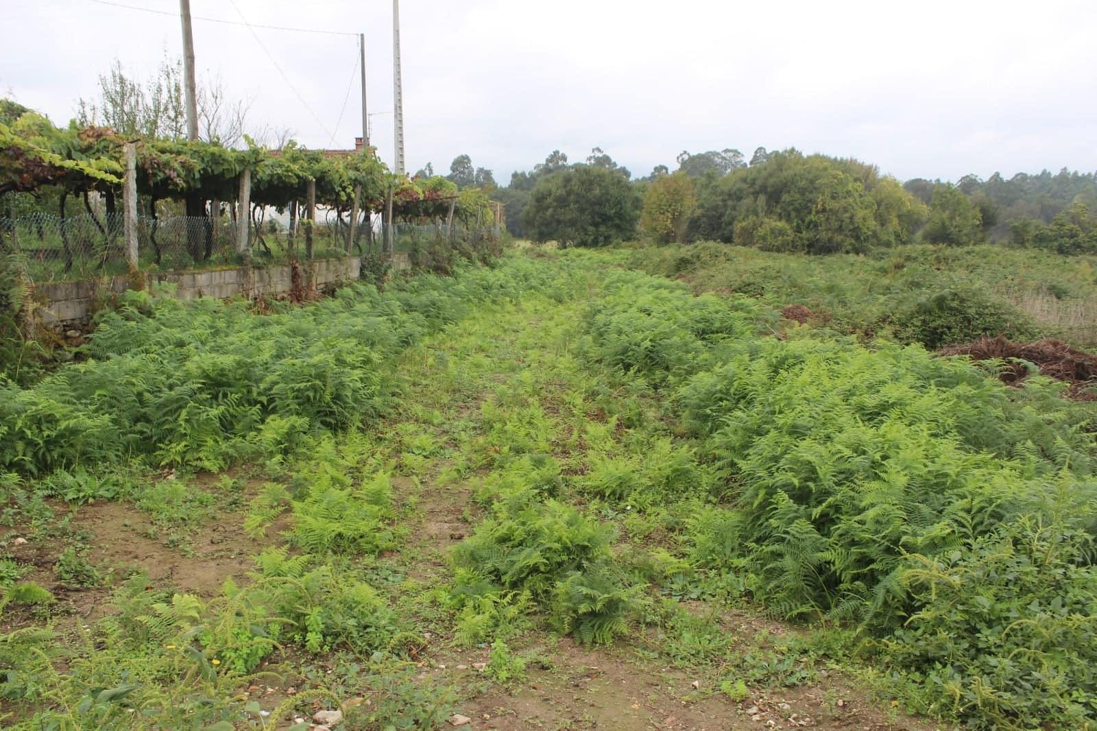 Lote de Terreno  Venda em Reboreda e Nogueira,Vila Nova de Cerveira