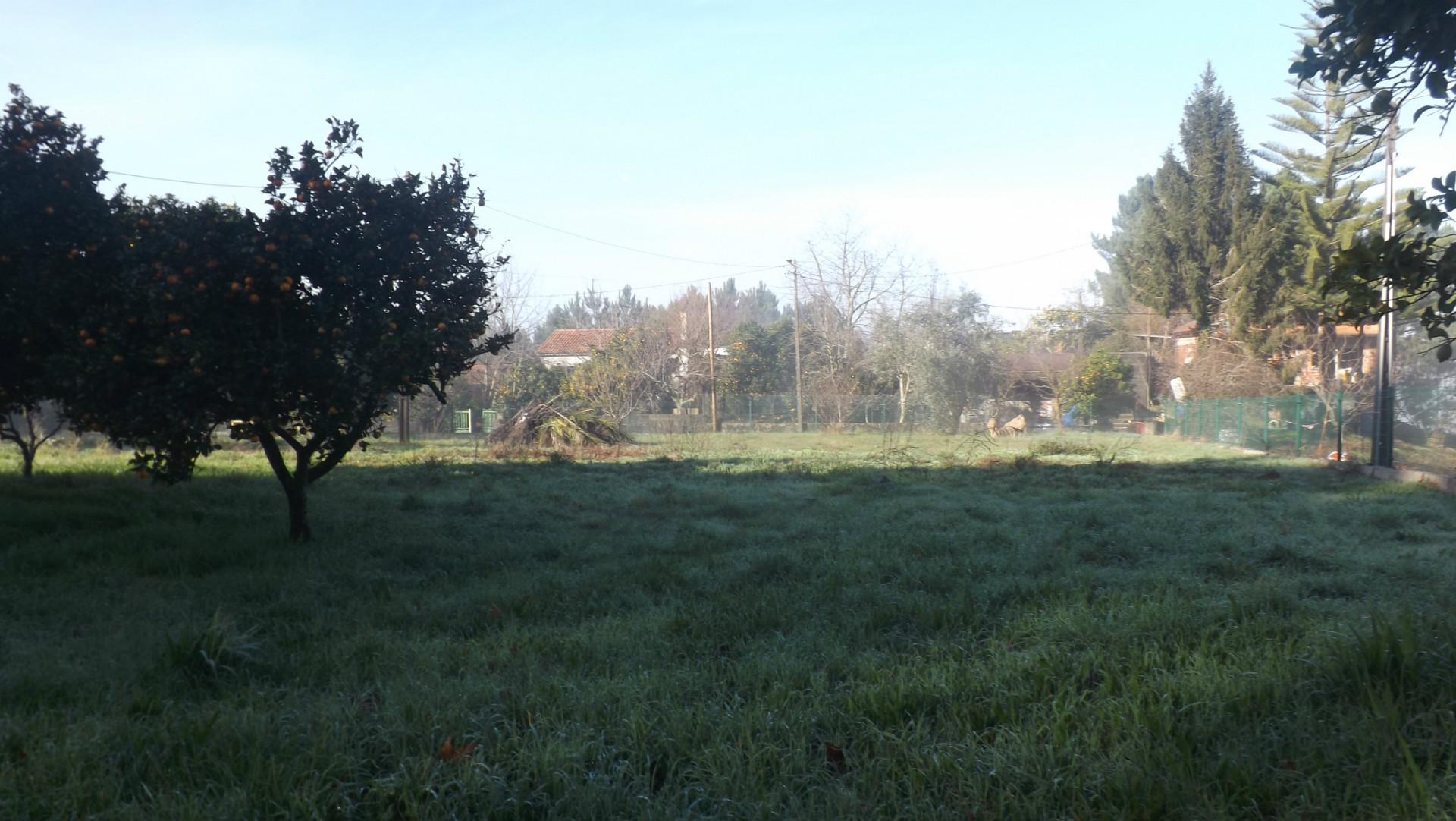 Moradia Isolada T2 Venda em Fontoura,Valença