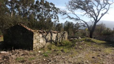 Moradia para Restaurar T0 Venda em Riba de Âncora,Caminha
