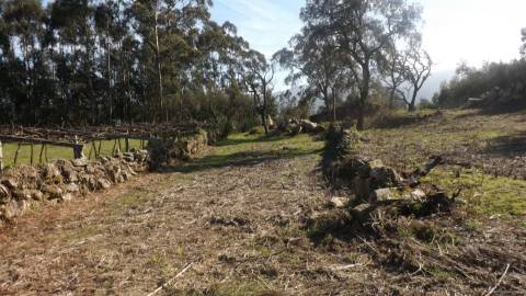 Moradia para Restaurar T0 Venda em Riba de Âncora,Caminha