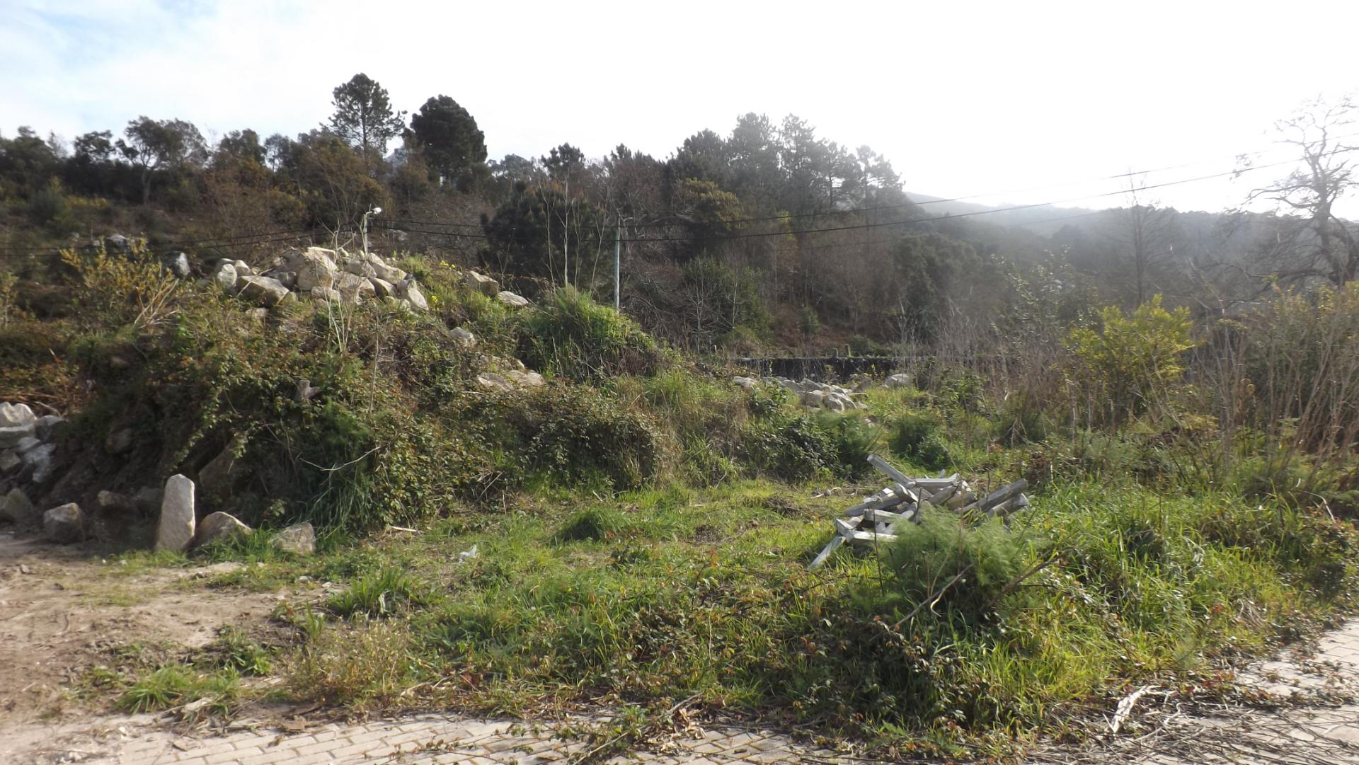 Lote de Terreno  Venda em Âncora,Caminha