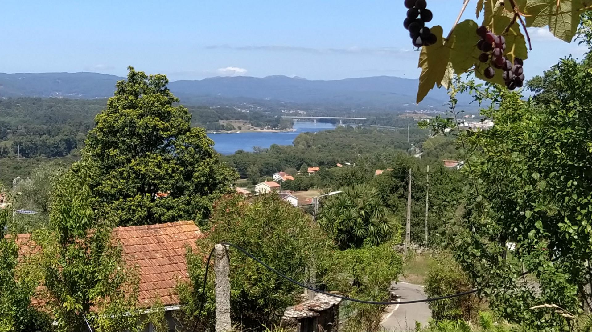 Terreno Para Construção  Venda em Gondarém,Vila Nova de Cerveira