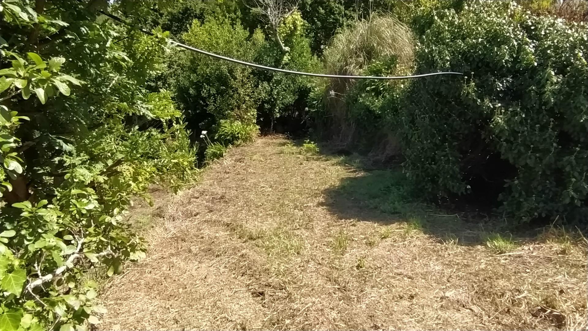 Terreno Para Construção  Venda em Gondarém,Vila Nova de Cerveira