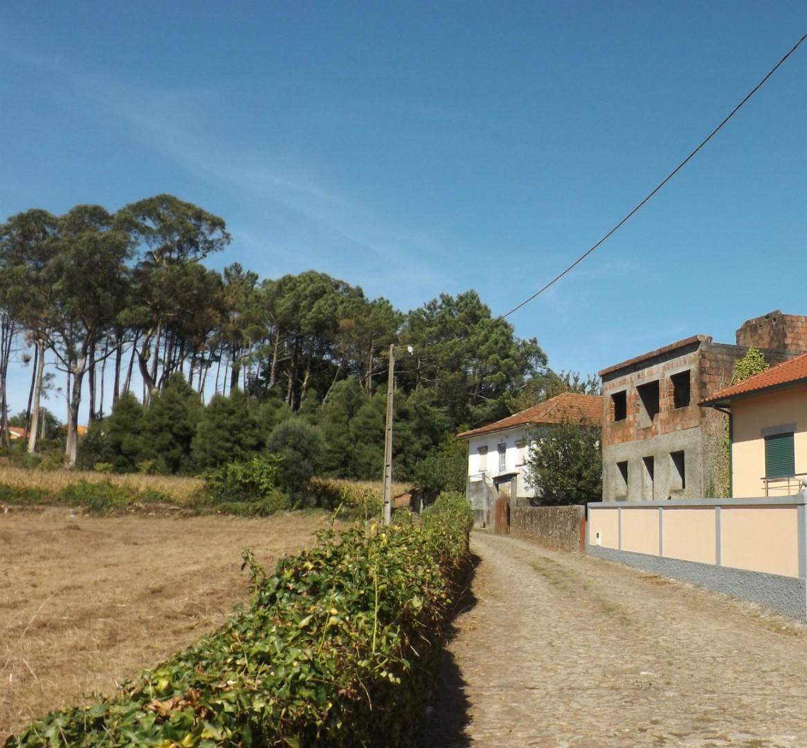 Terreno  Venda em Venade e Azevedo,Caminha