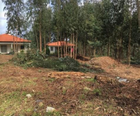 Terreno  Venda em Venade e Azevedo,Caminha