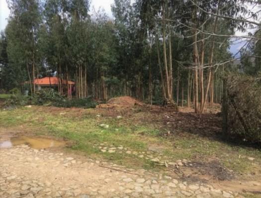 Terreno  Venda em Venade e Azevedo,Caminha