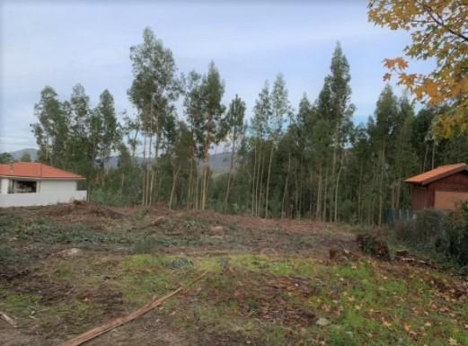 Terreno  Venda em Venade e Azevedo,Caminha