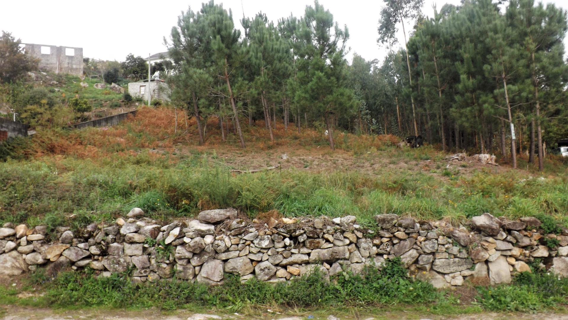 Terreno Para Construção  Venda em Riba de Âncora,Caminha