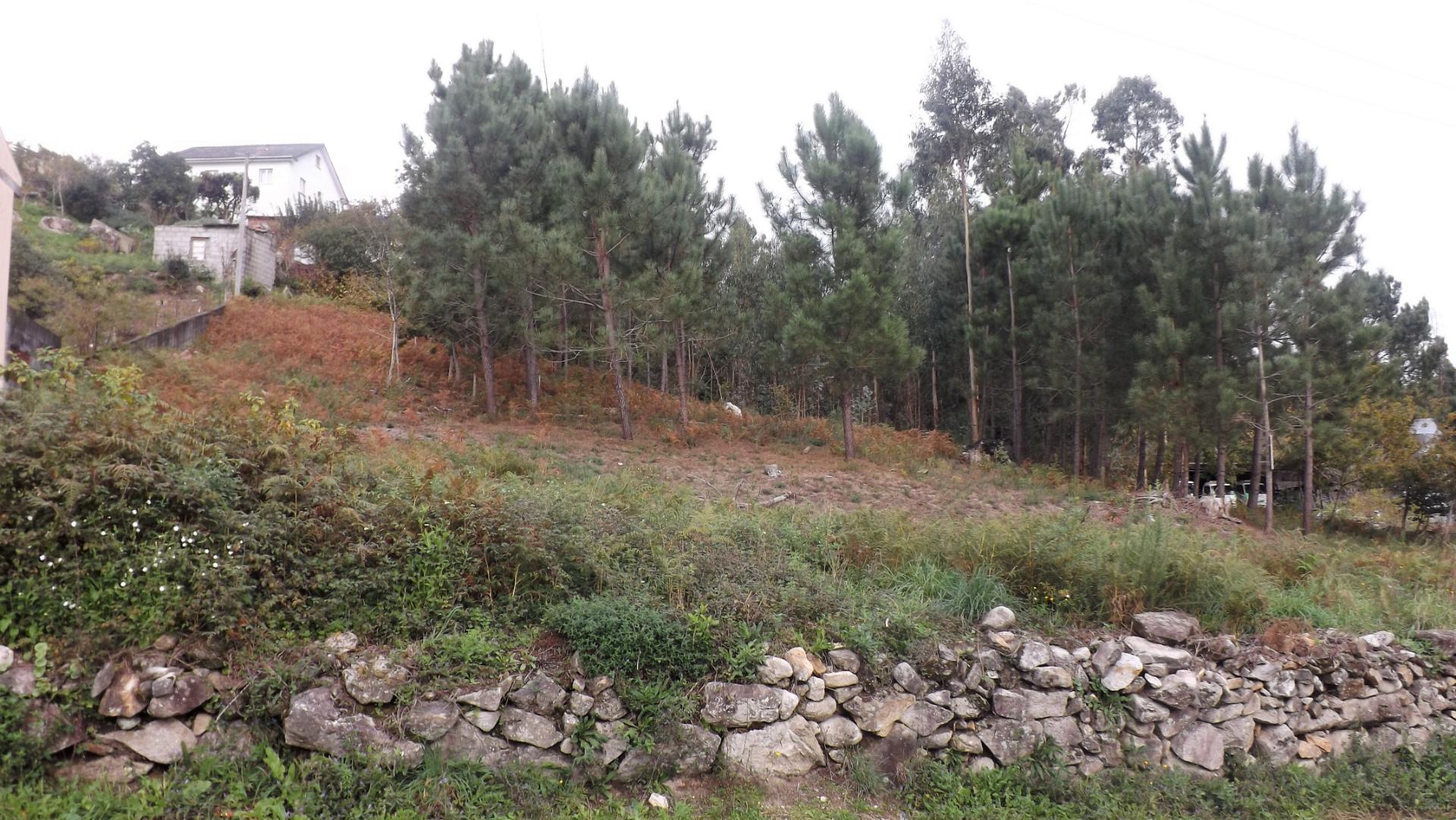 Terreno Para Construção  Venda em Riba de Âncora,Caminha