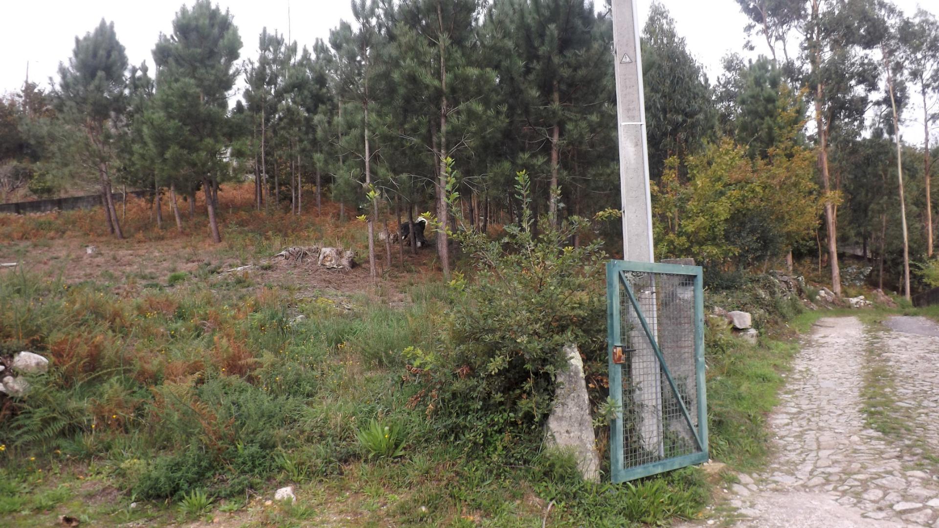 Terreno Para Construção  Venda em Riba de Âncora,Caminha