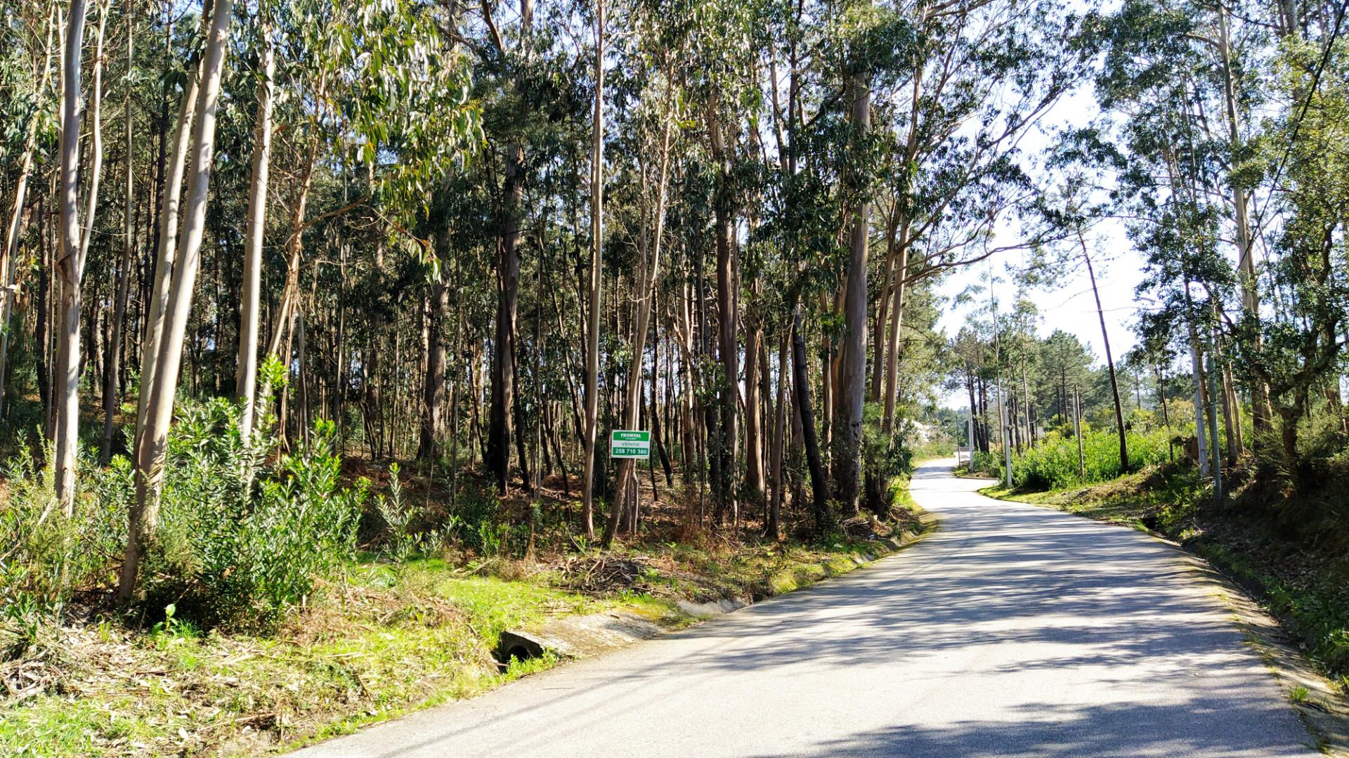 terreno caminha - santo antão