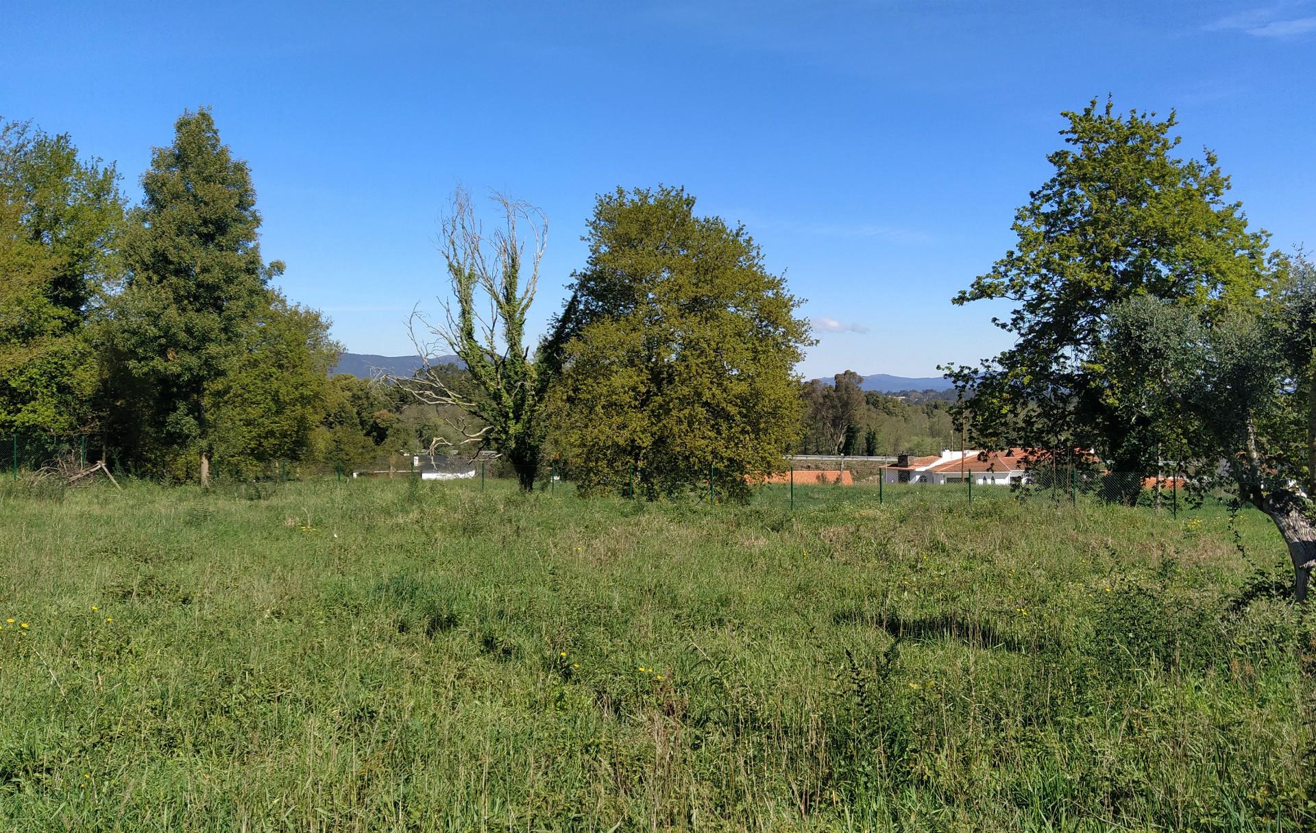 Terreno Para Construção T3+1 Venda em Gondarém,Vila Nova de Cerveira