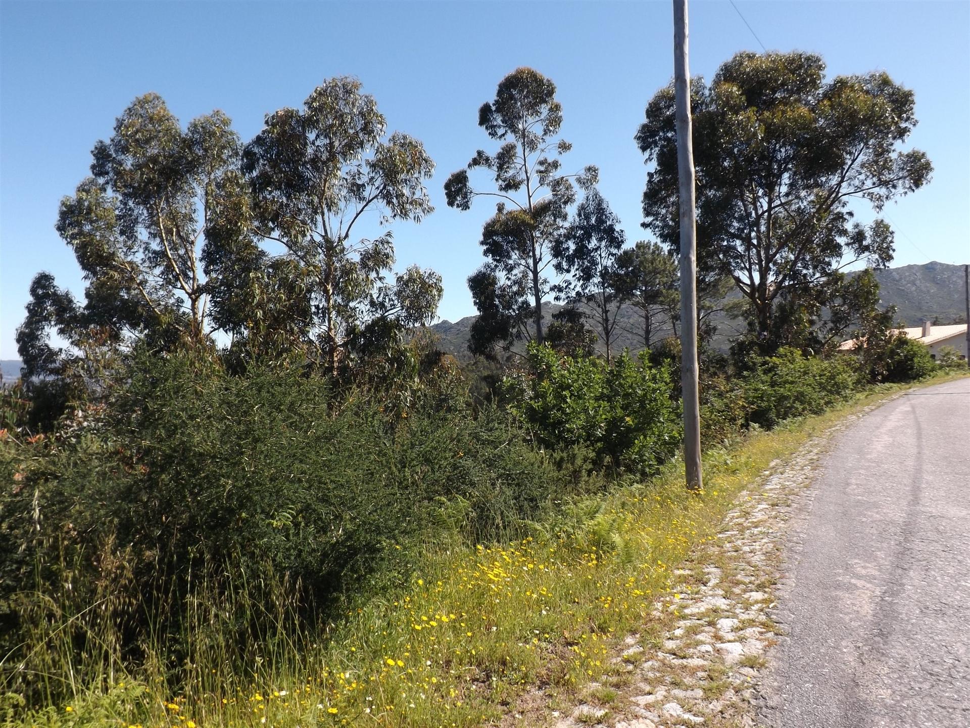 Lote de Terreno  Venda em Loivo,Vila Nova de Cerveira