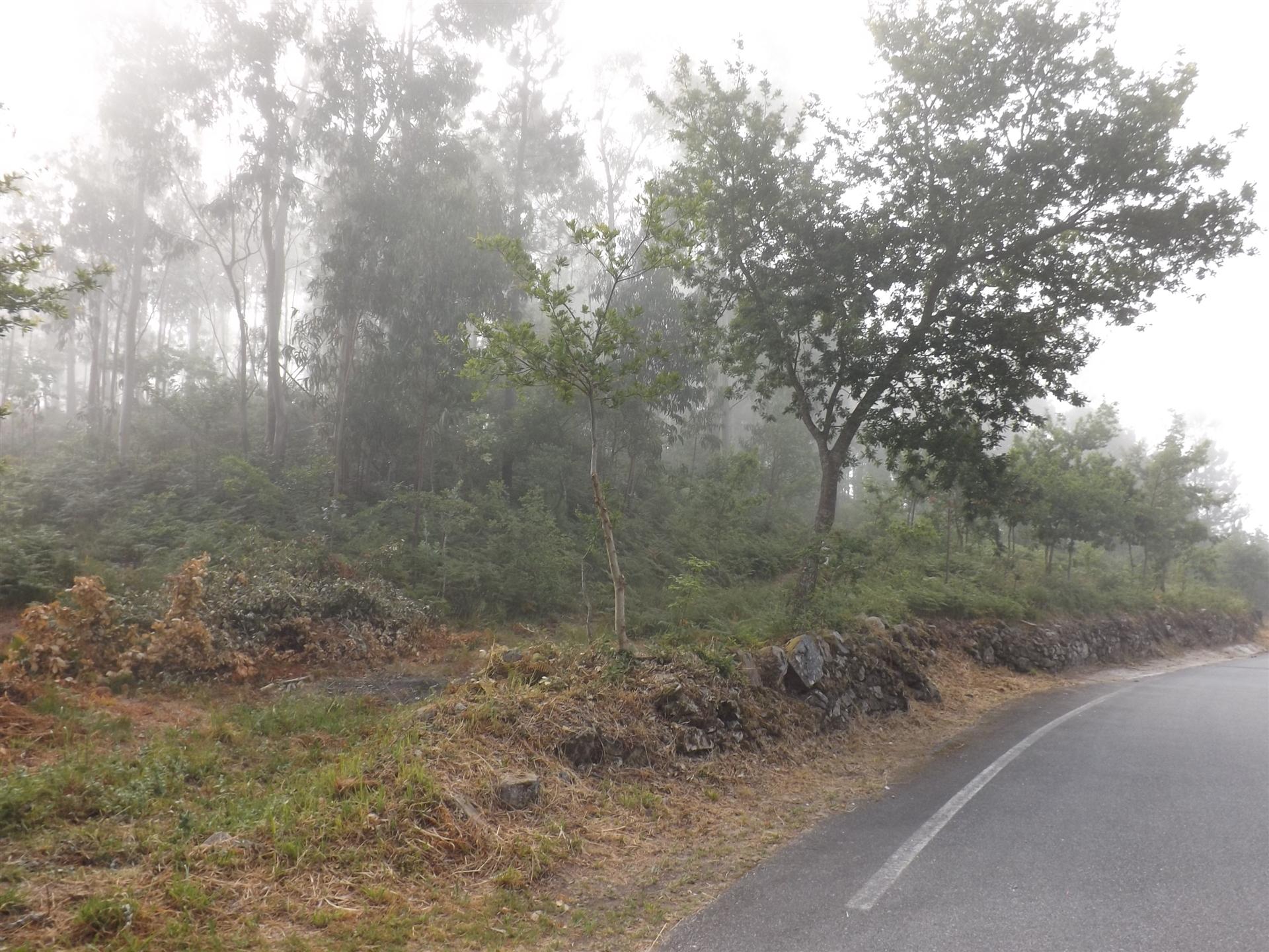 Terreno  Venda em Candemil e Gondar,Vila Nova de Cerveira