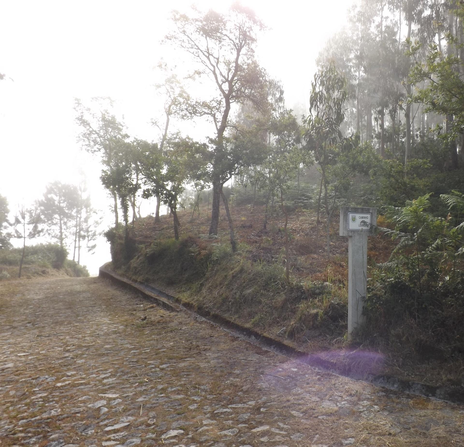 Terreno  Venda em Candemil e Gondar,Vila Nova de Cerveira