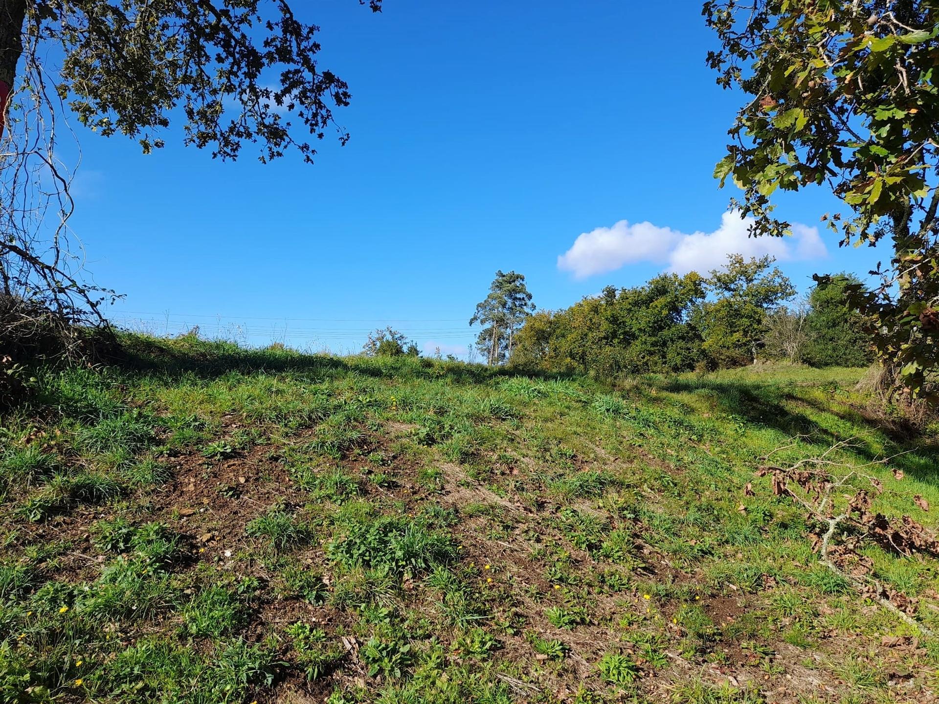 Terreno  Venda em Seixas,Caminha