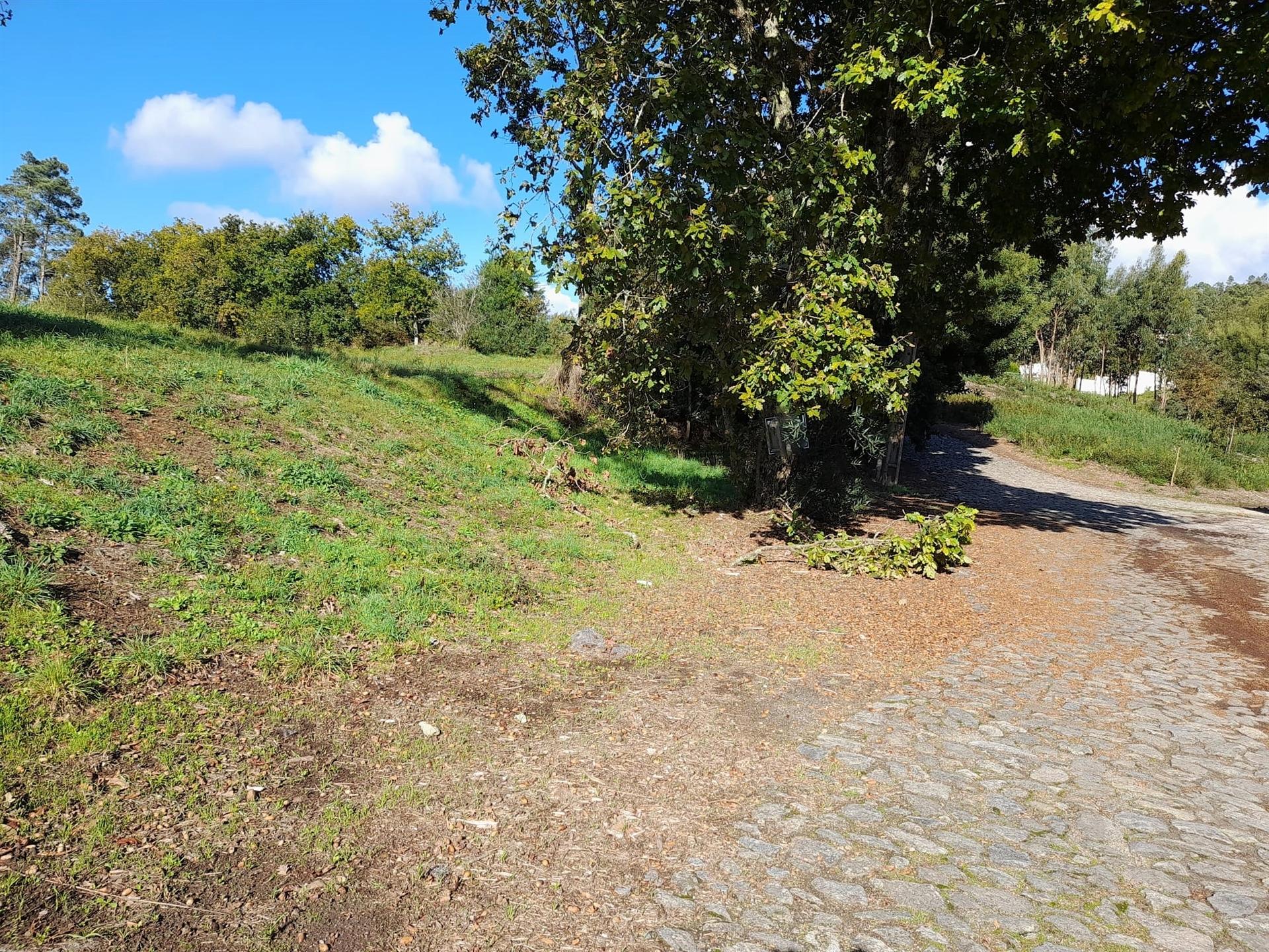 Terreno  Venda em Seixas,Caminha