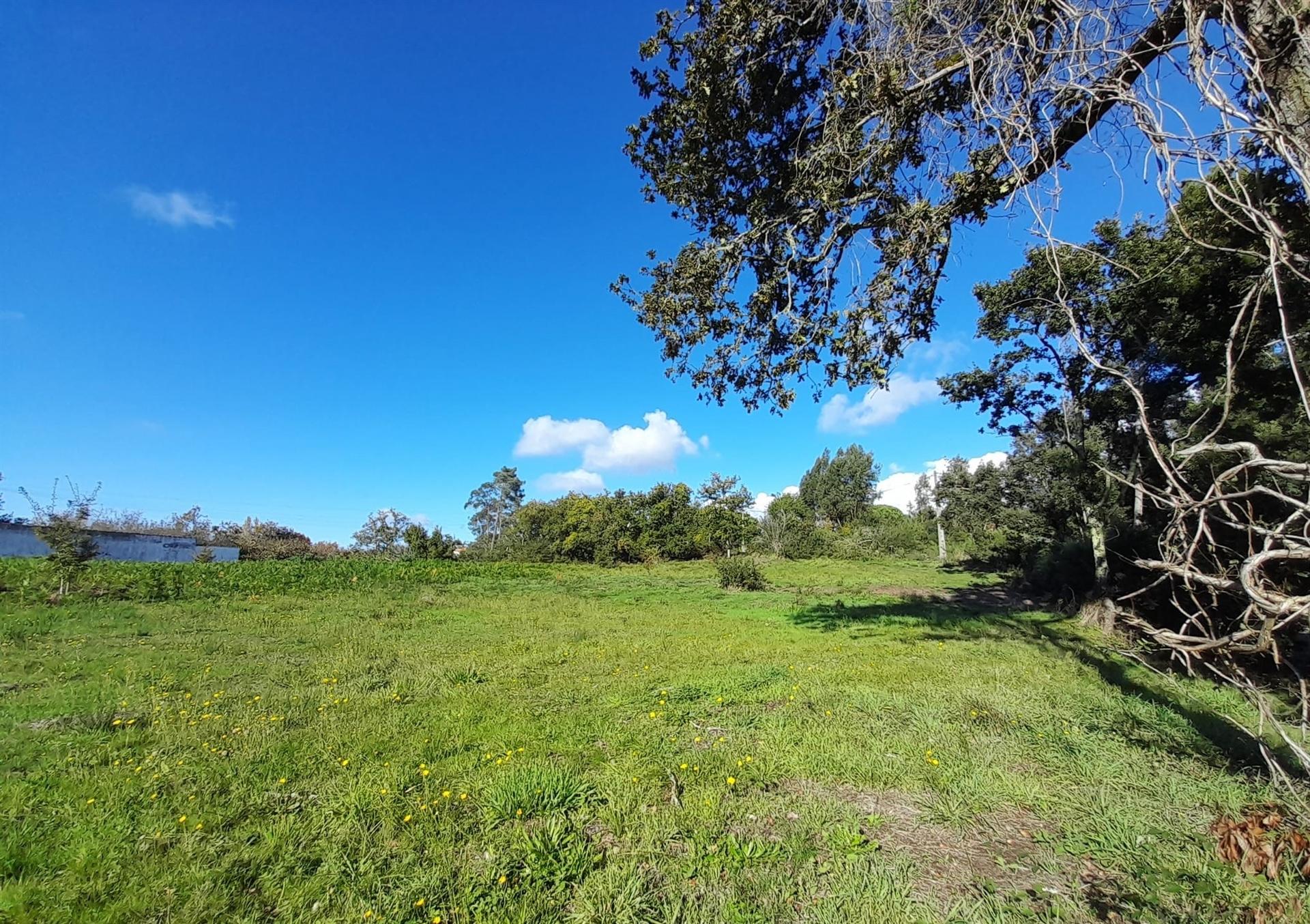 Terreno  Venda em Seixas,Caminha