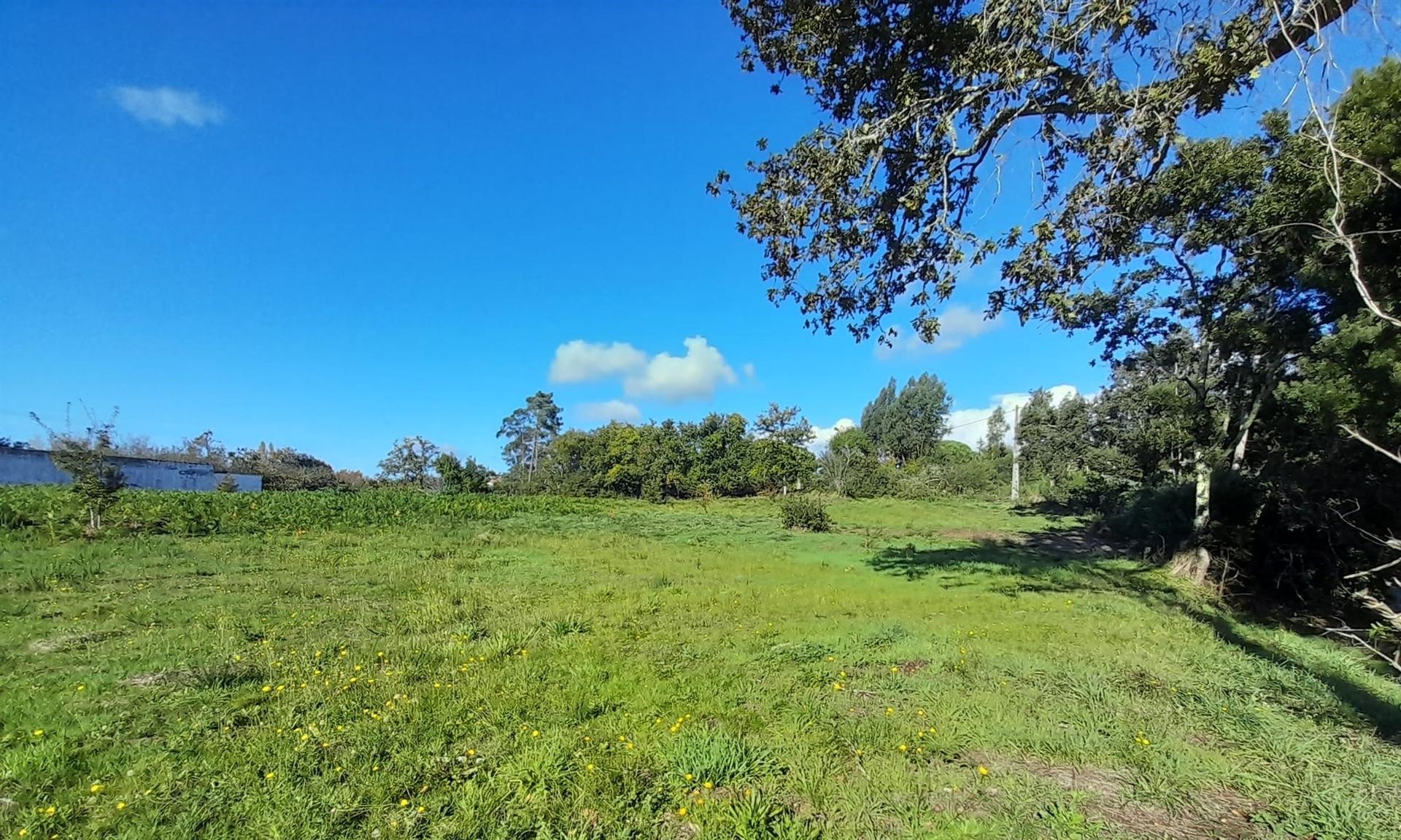 Terreno  Venda em Seixas,Caminha