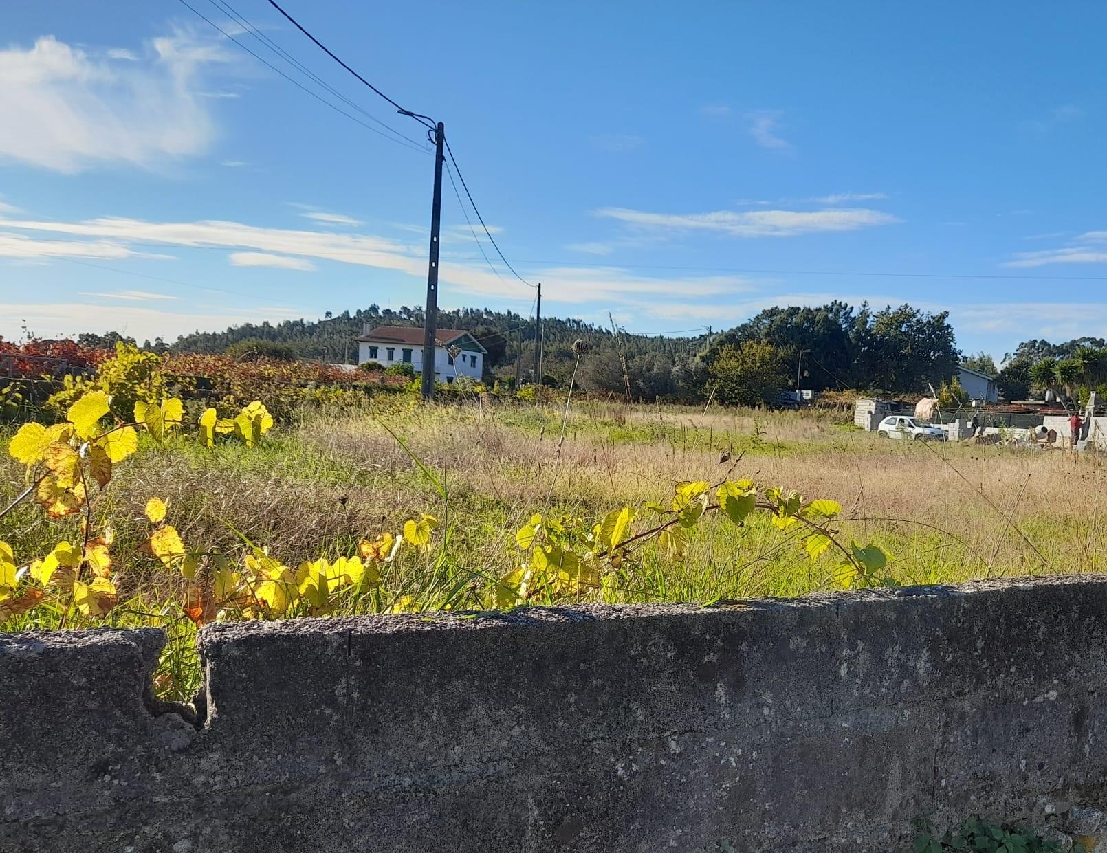 Terreno  Venda em Riba de Âncora,Caminha