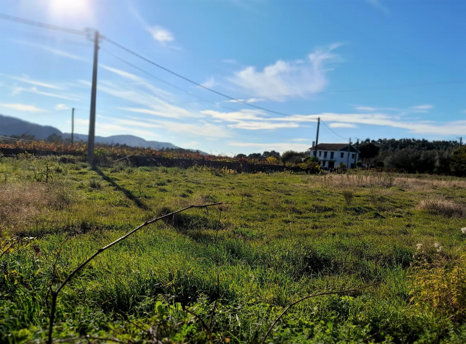 Terreno  Venda em Riba de Âncora,Caminha