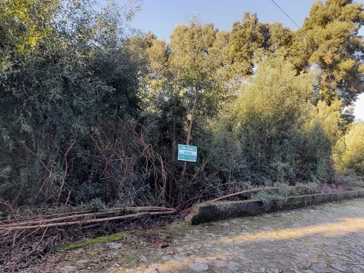 Terreno  Venda em Moledo e Cristelo,Caminha