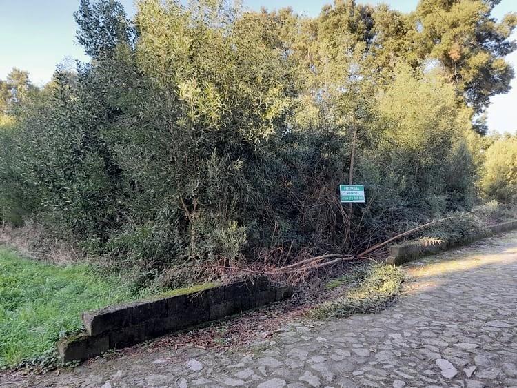 Terreno  Venda em Moledo e Cristelo,Caminha