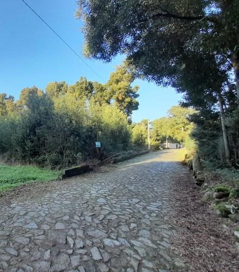 Terreno  Venda em Moledo e Cristelo,Caminha