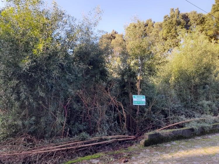 Terreno  Venda em Moledo e Cristelo,Caminha