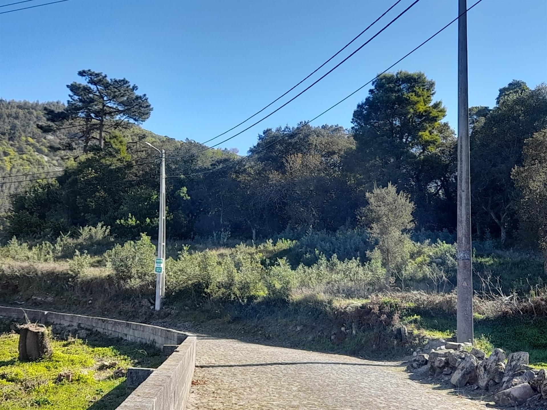 Terreno  Venda em Moledo e Cristelo,Caminha