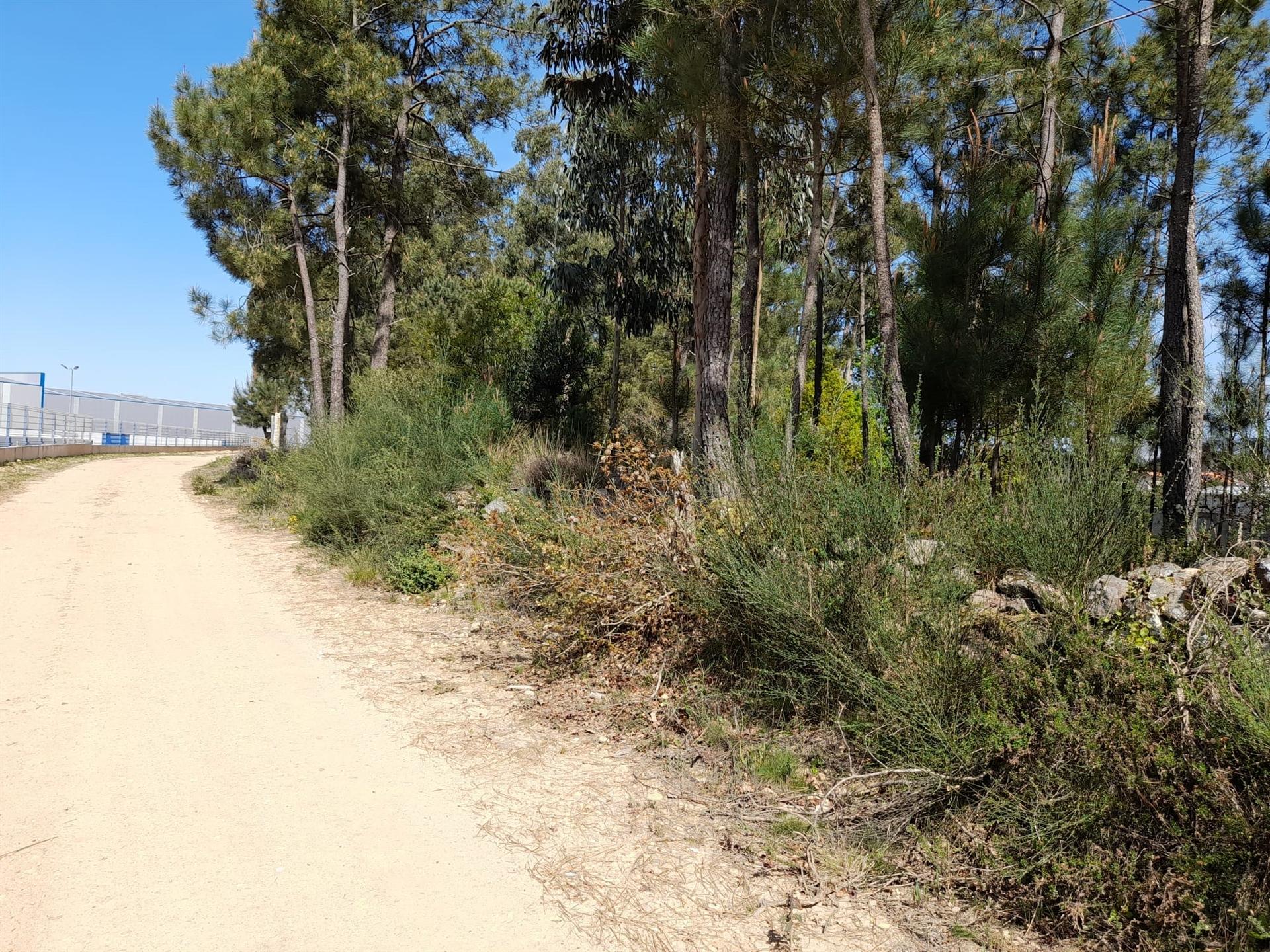 Terreno  Venda em Cornes,Vila Nova de Cerveira