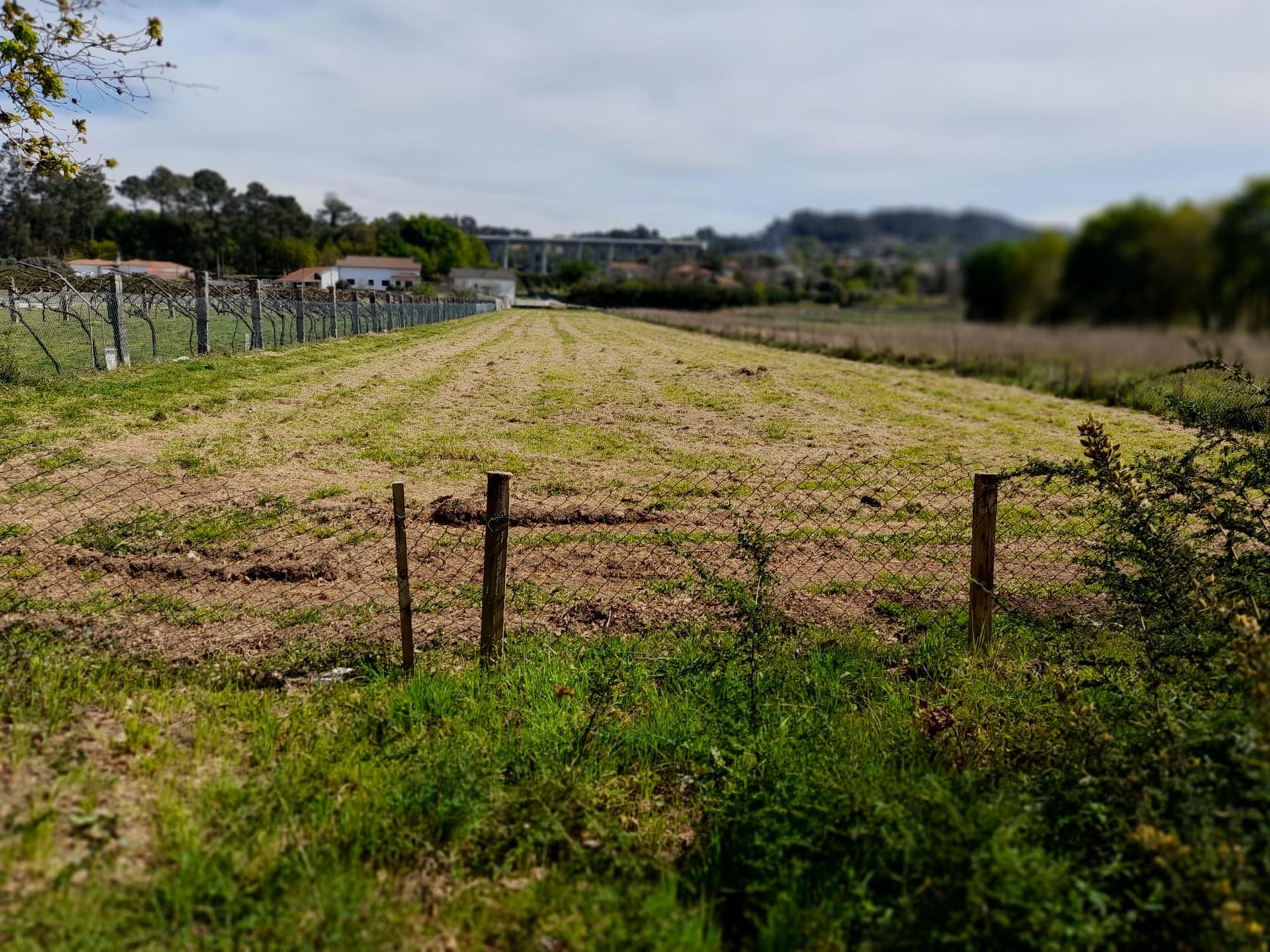 Terreno  Venda em Cornes,Vila Nova de Cerveira