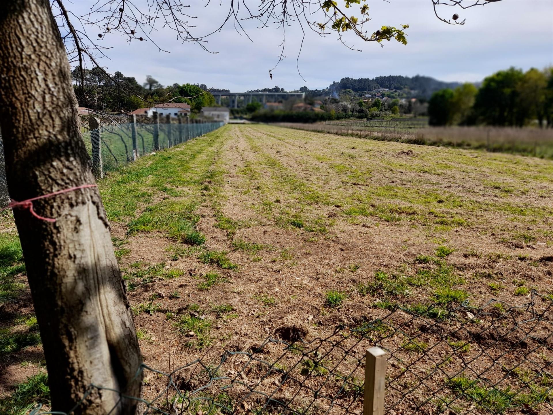 Terreno  Venda em Cornes,Vila Nova de Cerveira