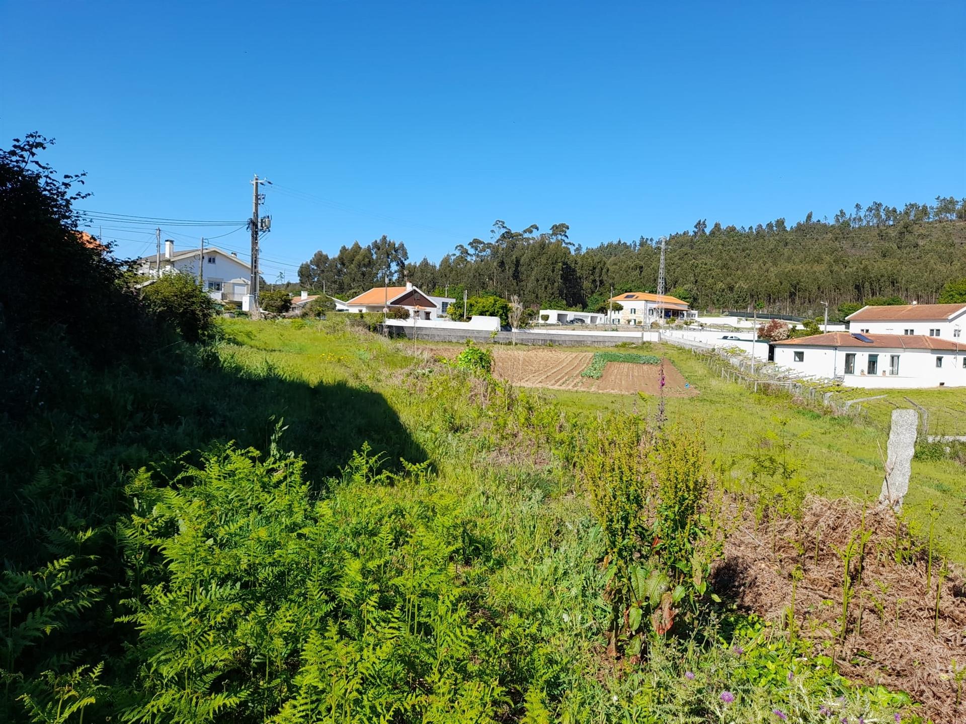 Terreno em Seixas