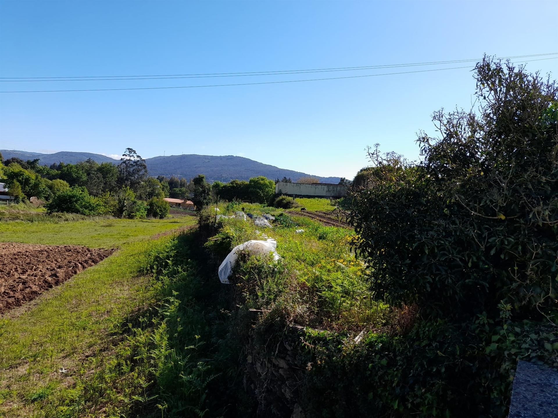 Terreno em Seixas