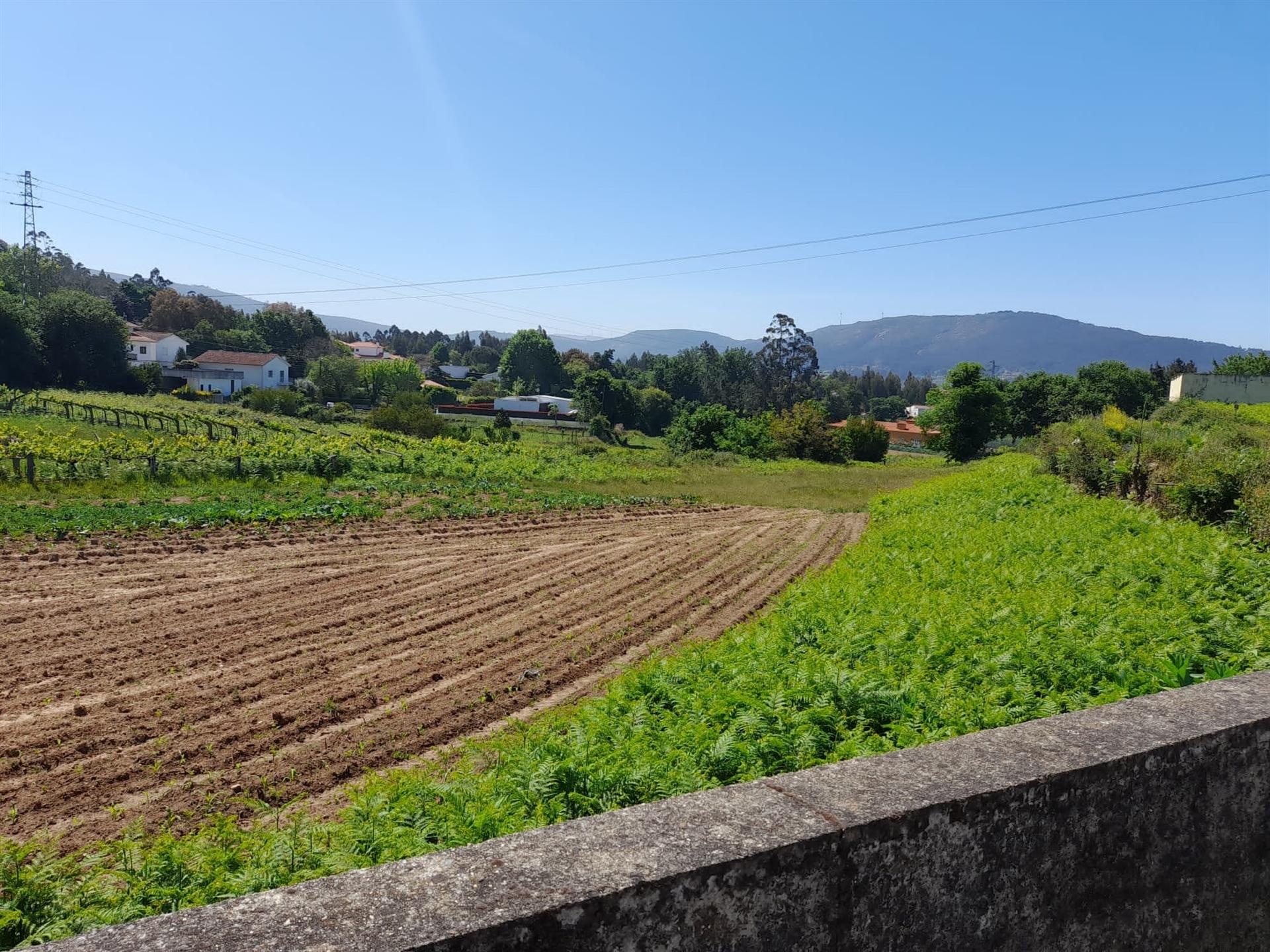 terreno para construção - Caminha