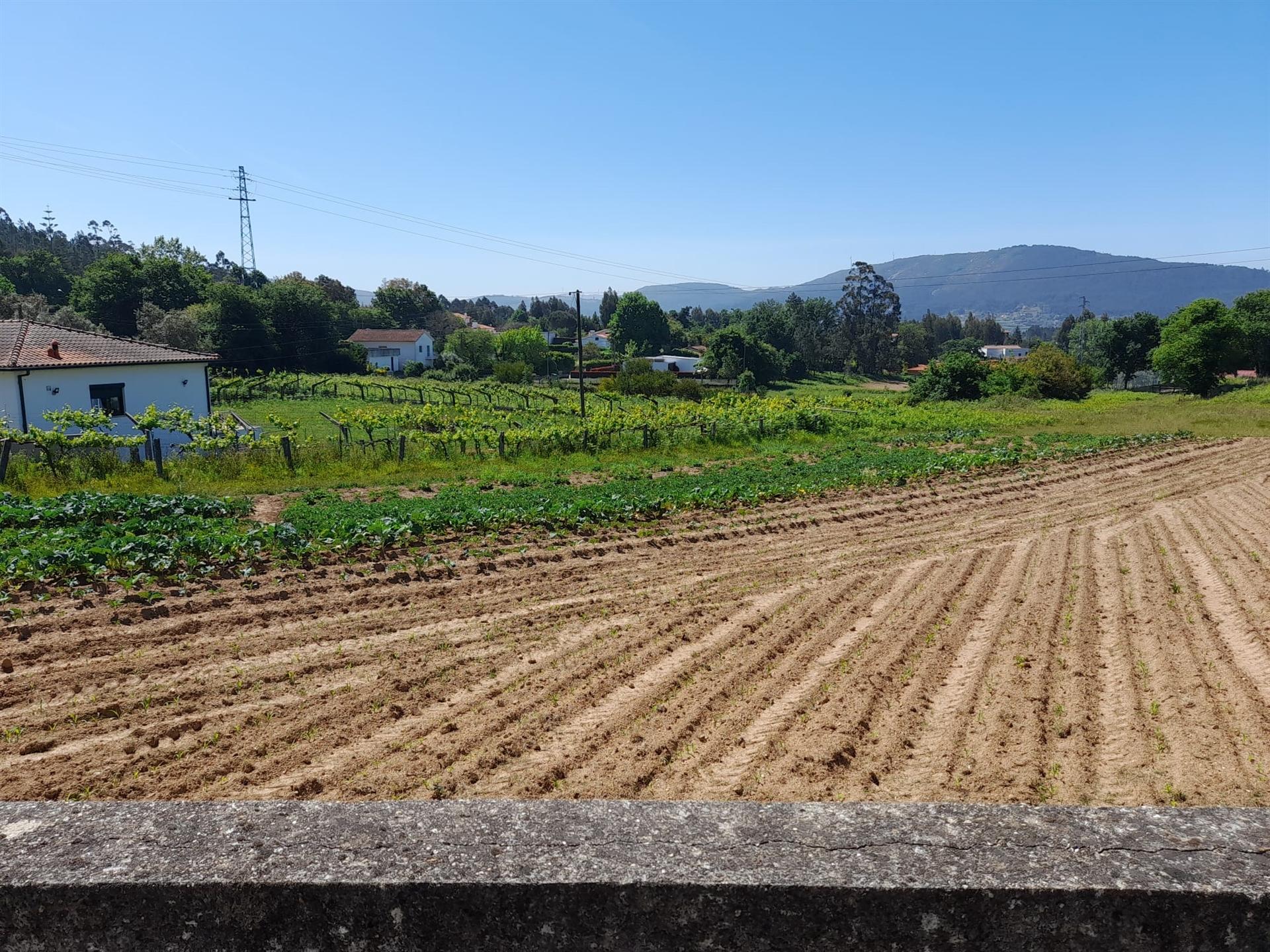 terreno para construção - Caminha