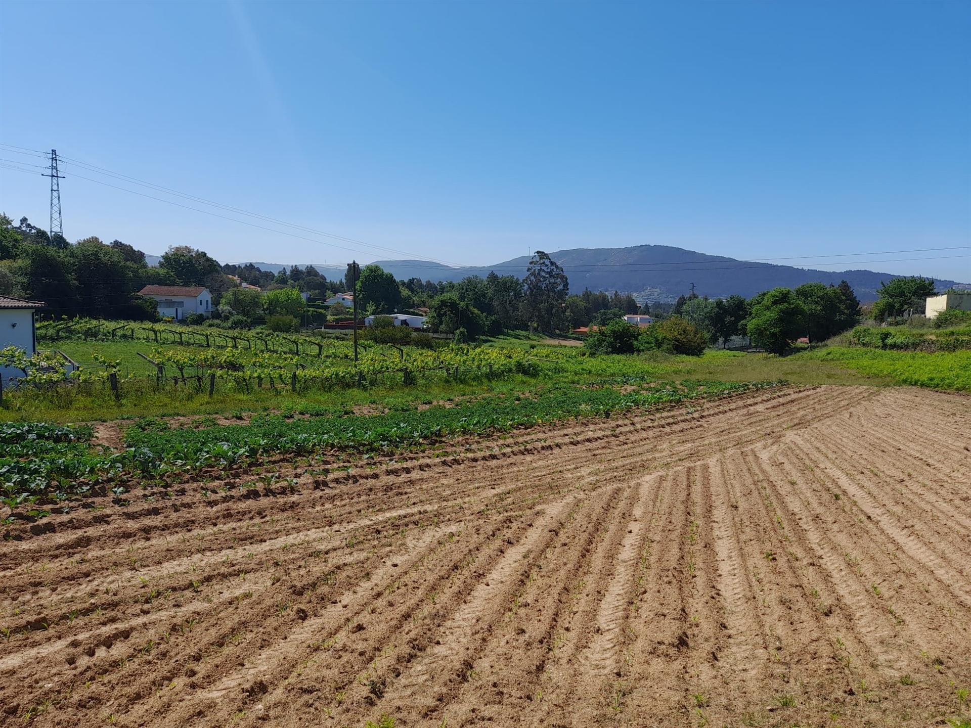 terreno para construção - Caminha