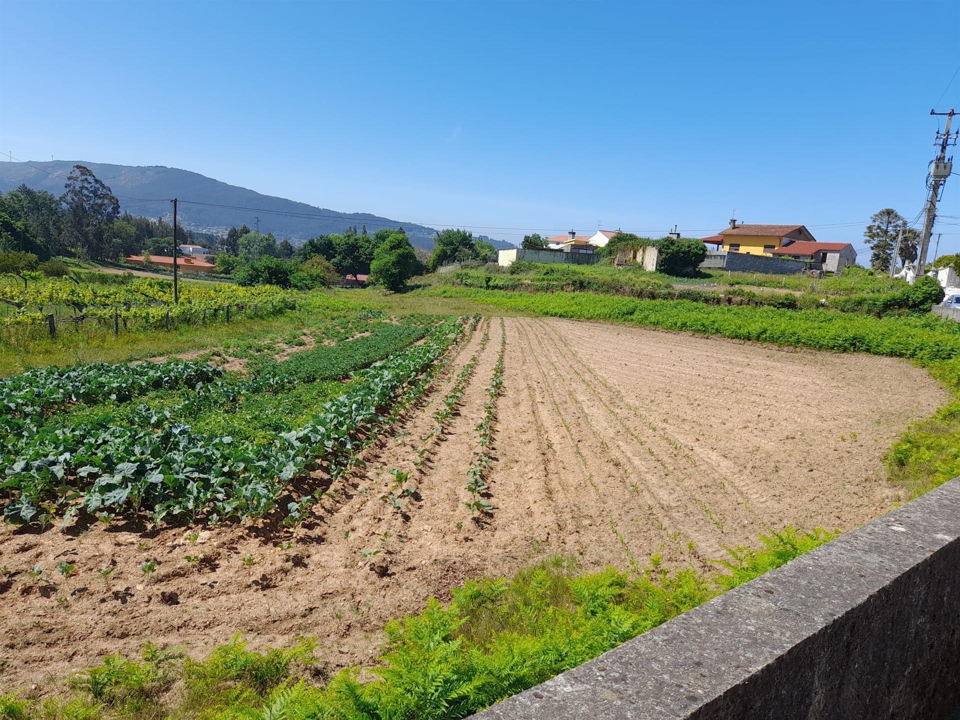 terreno para construção - Caminha