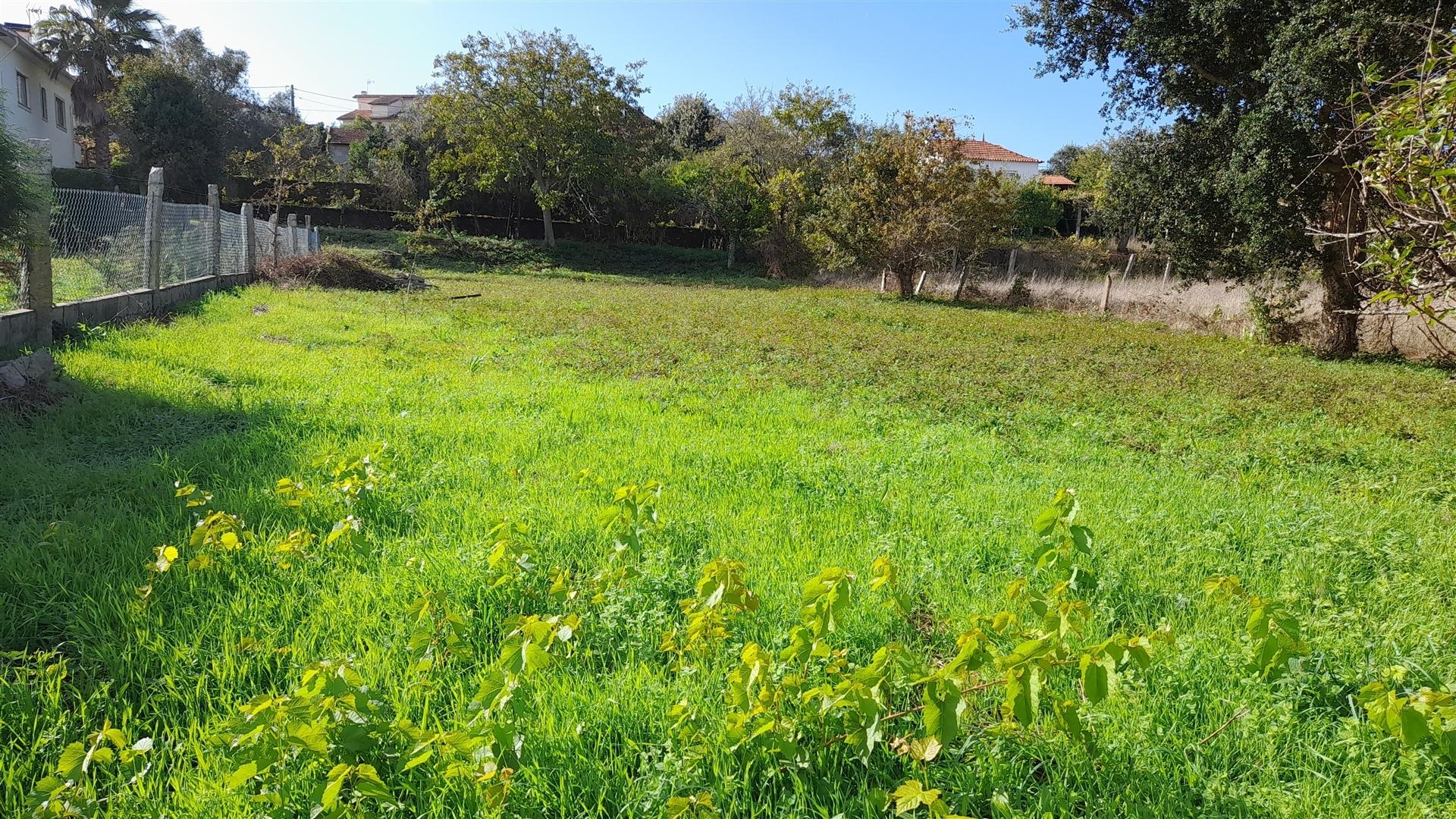 Terreno  Venda em Venade e Azevedo,Caminha