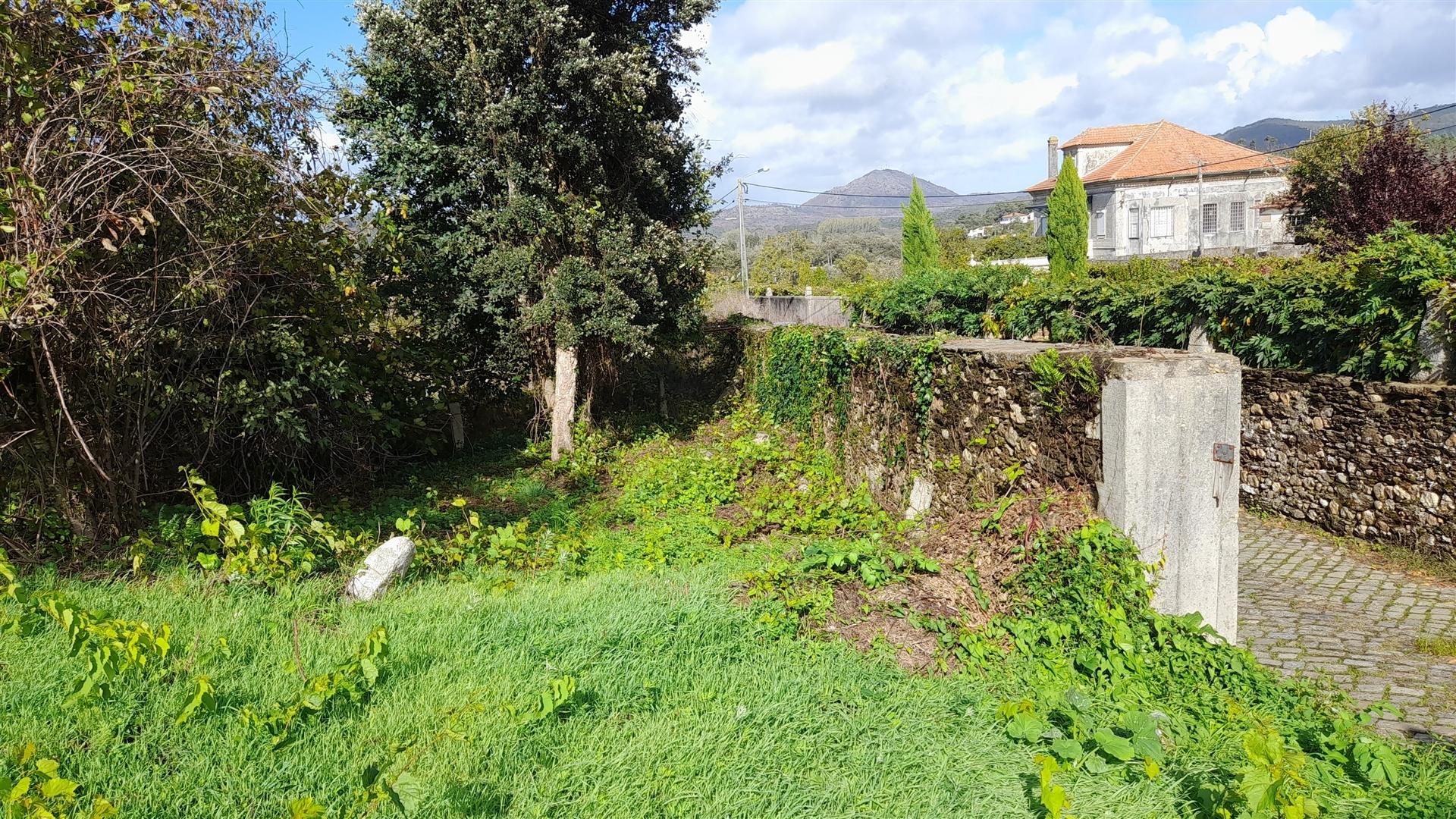 Terreno  Venda em Venade e Azevedo,Caminha