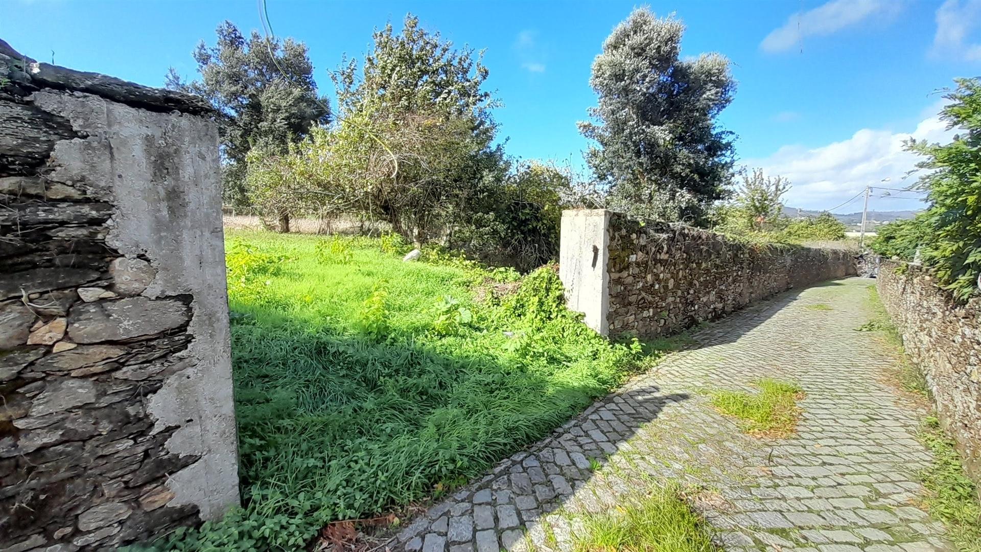 Terreno  Venda em Venade e Azevedo,Caminha