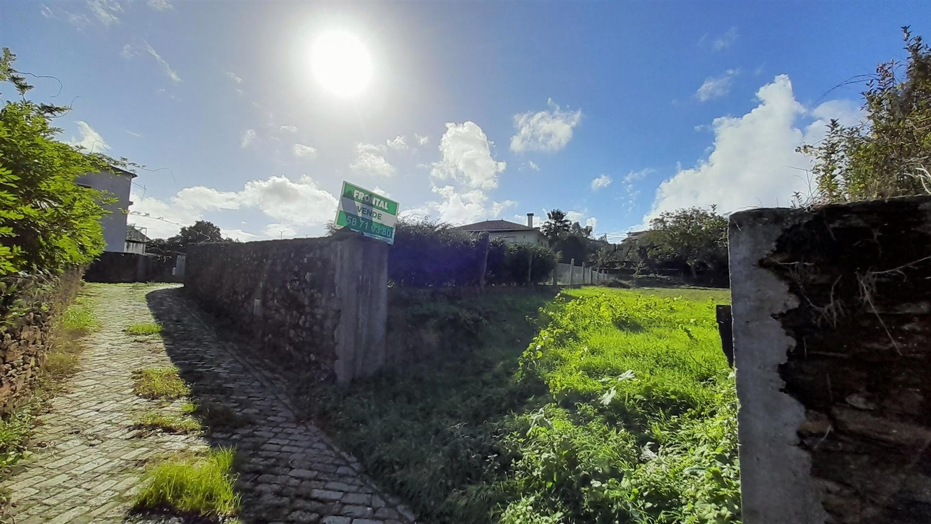 Terreno  Venda em Venade e Azevedo,Caminha