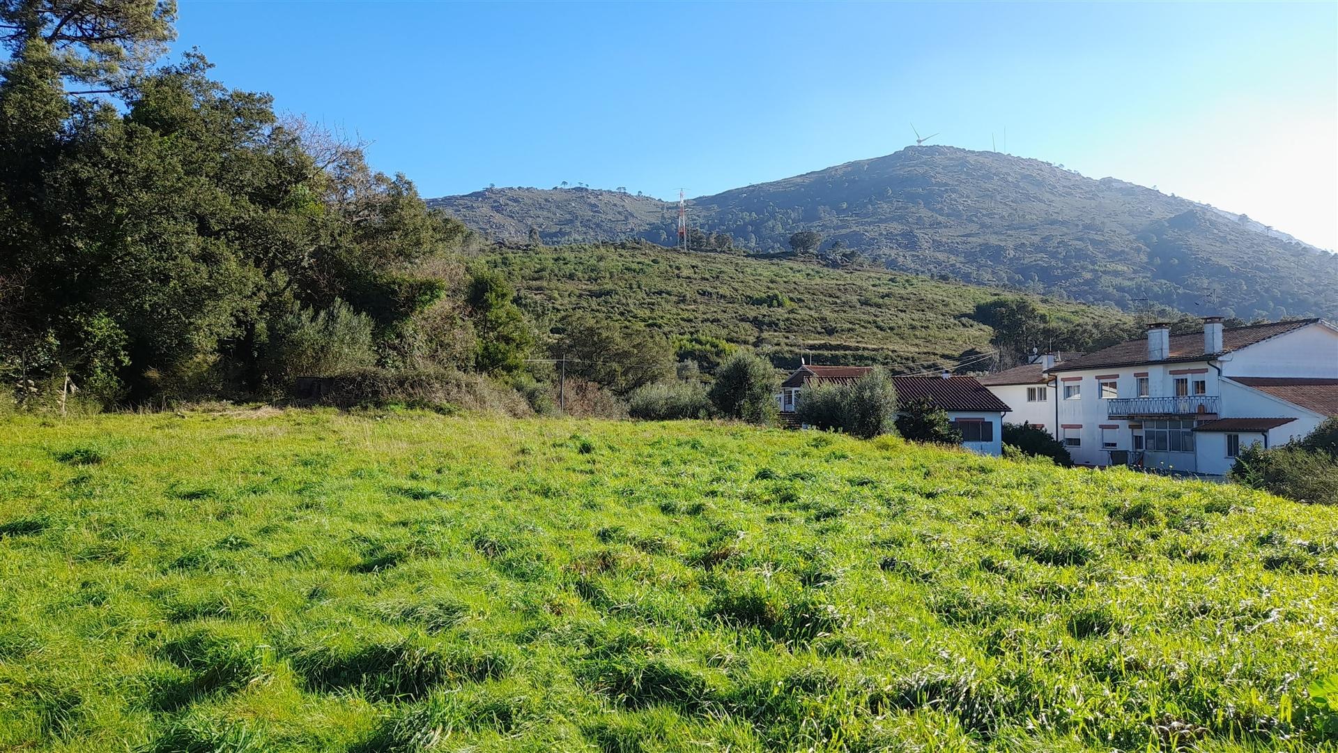 Terreno Urbano  Venda em Dem,Caminha